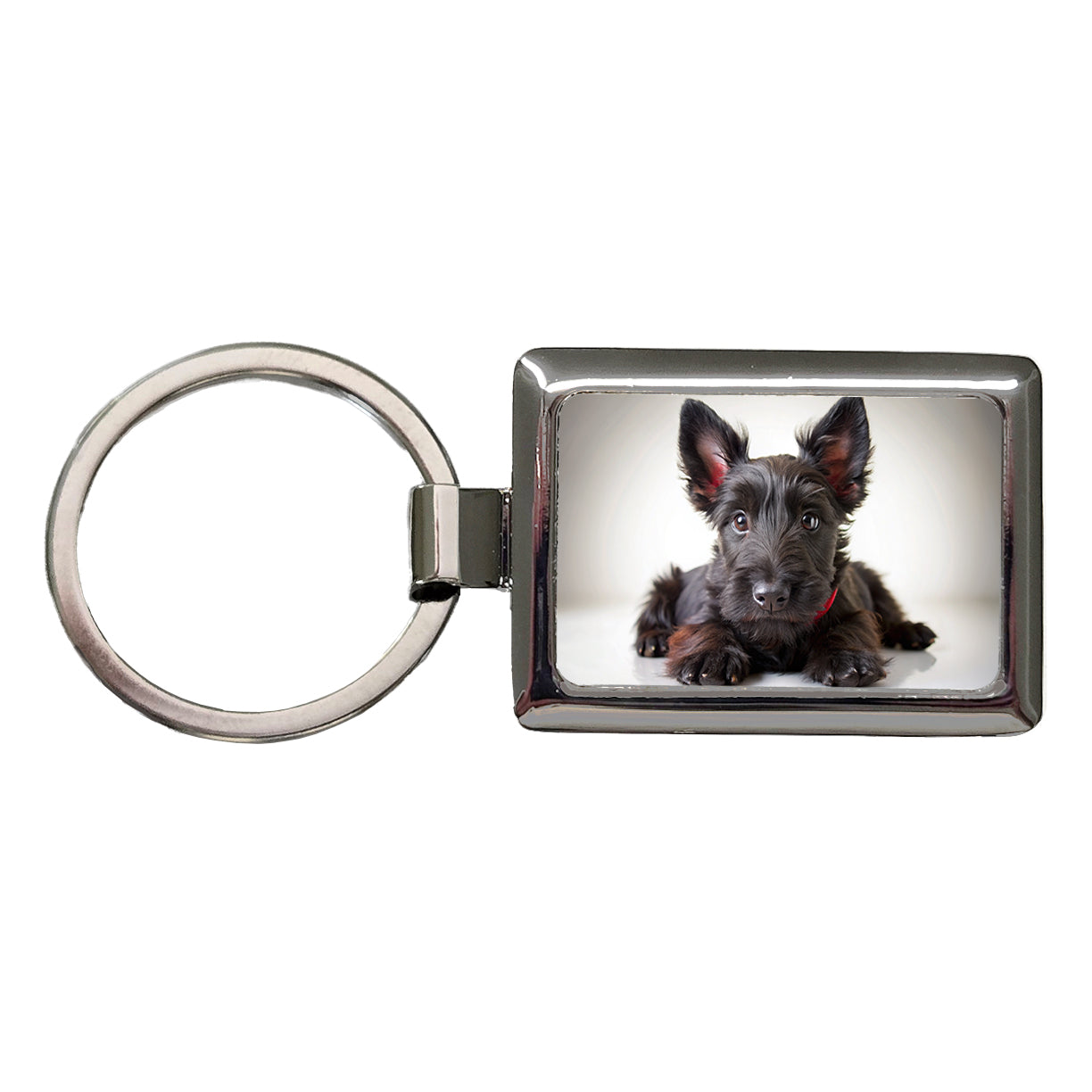 Scottish Terrier Dog Puppy Photo Rectangle Metal Keychain