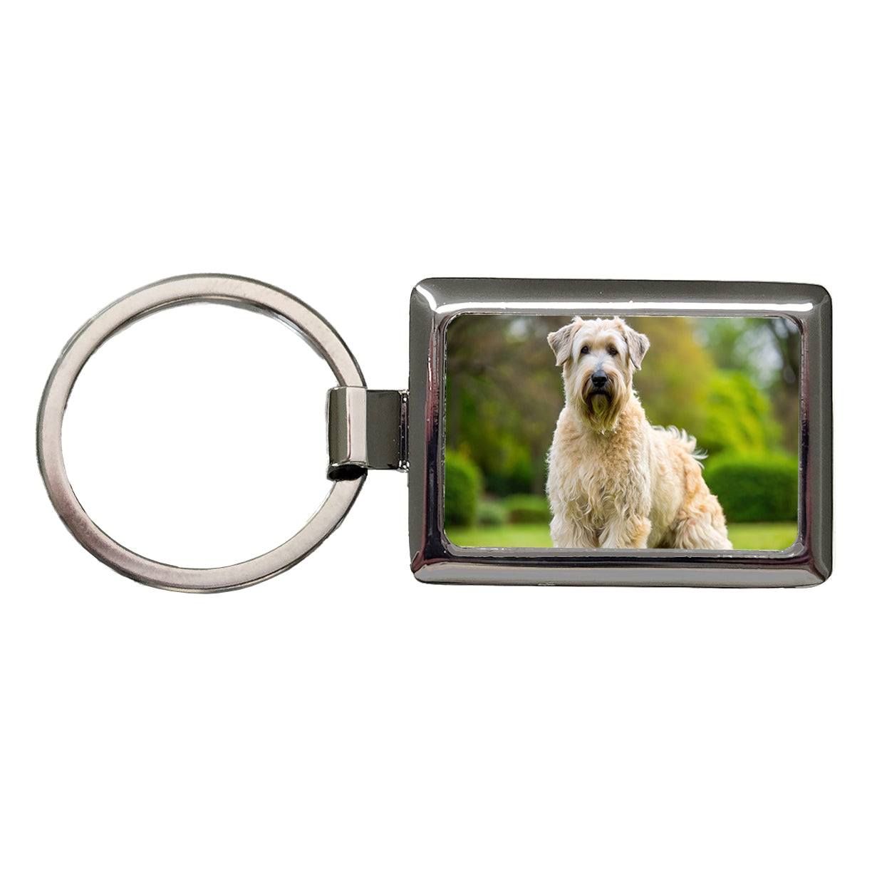 Soft Coated Wheaten Terrier Dog Photo Rectangle Metal Keychain