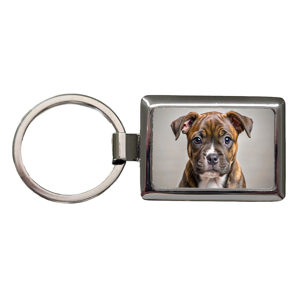 Staffordshire Bull Terrier Staffy Dog Puppy Photo Rectangle Metal Keychain