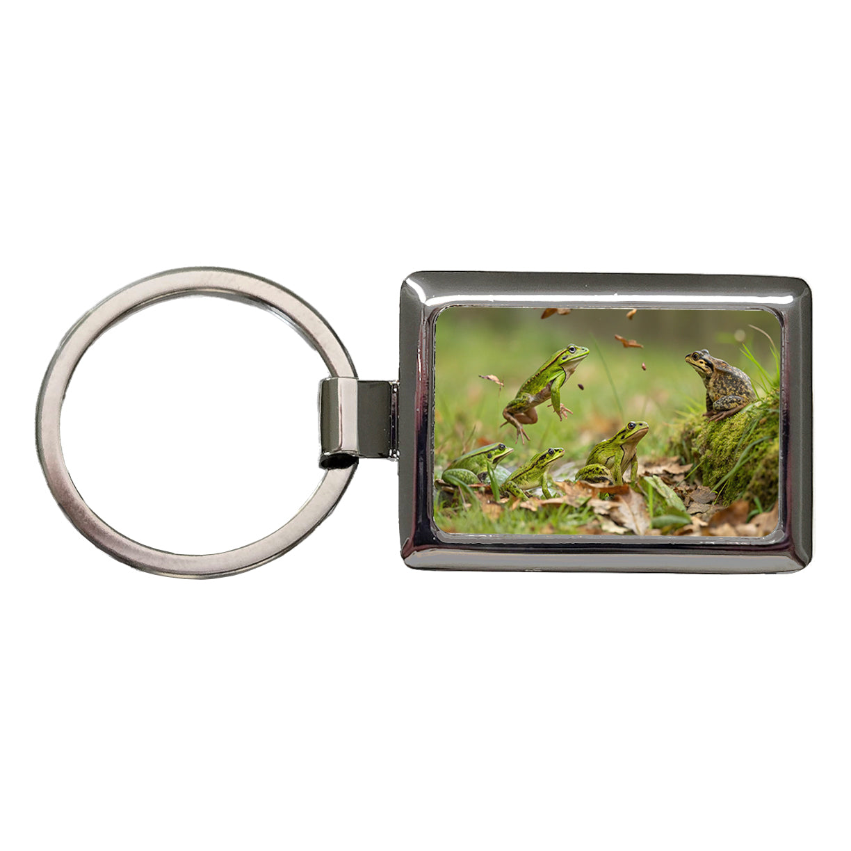 Bunch Of Frogs Rectangle Metal Keychain