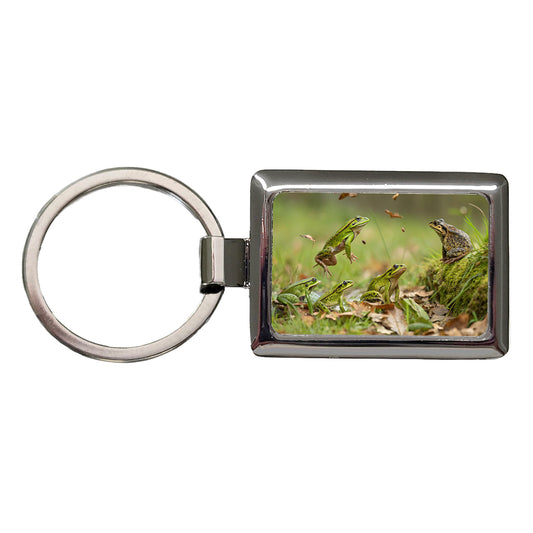 Bunch Of Frogs Rectangle Metal Keychain