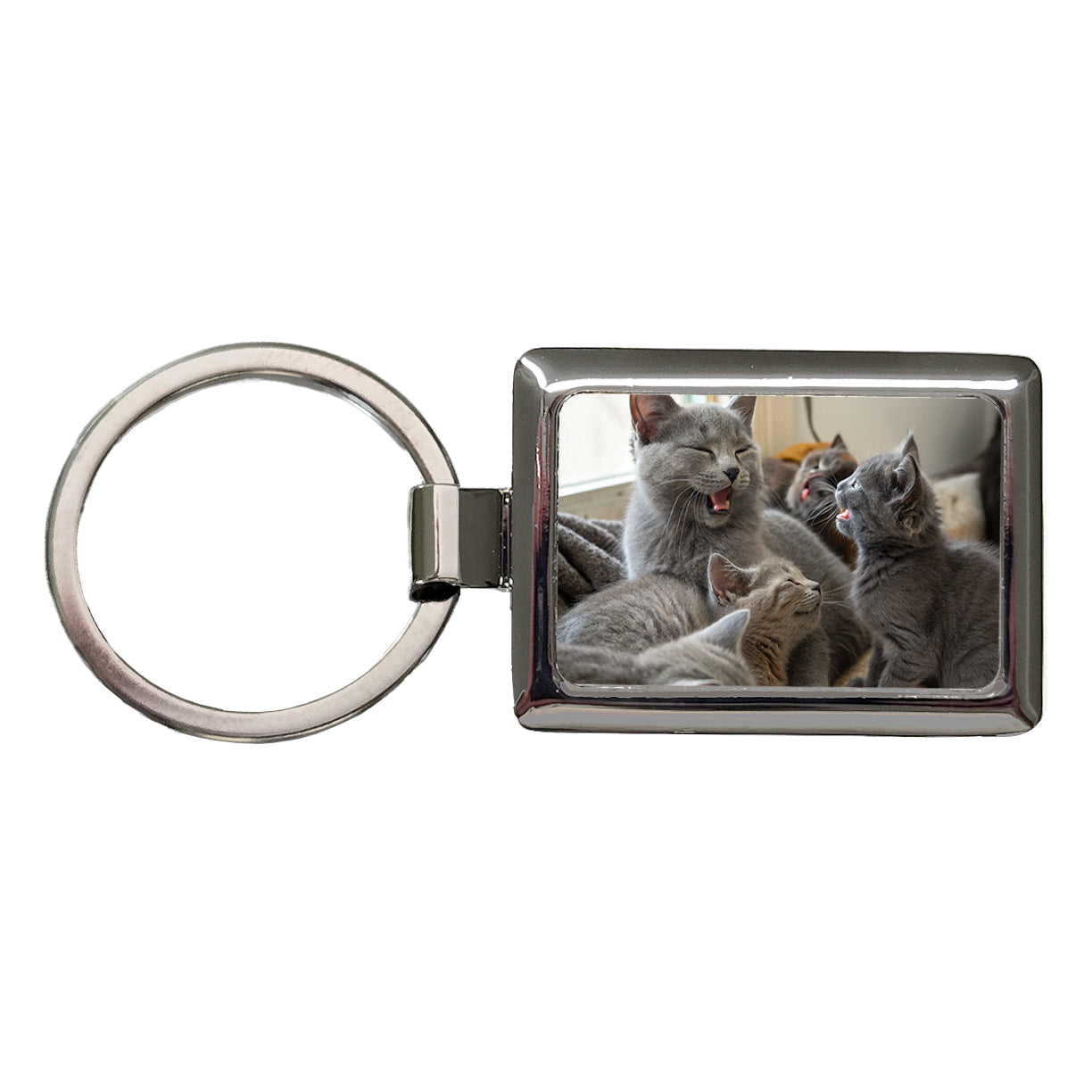 Bunch Of Gray Cats Rectangle Metal Keychain