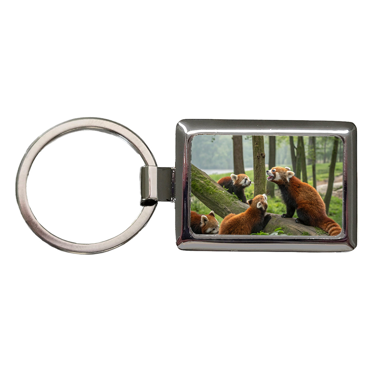 Bunch Of Red Pandas Rectangle Metal Keychain