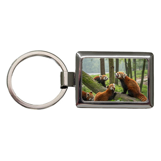 Bunch Of Red Pandas Rectangle Metal Keychain