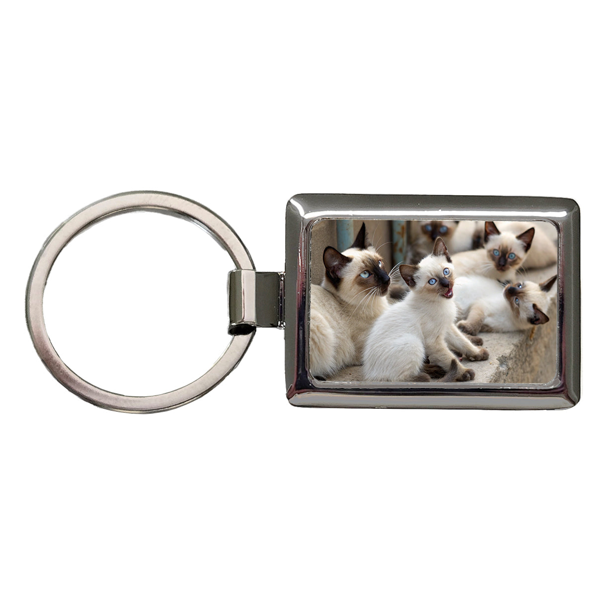 Bunch Of Siamese Cats Rectangle Metal Keychain