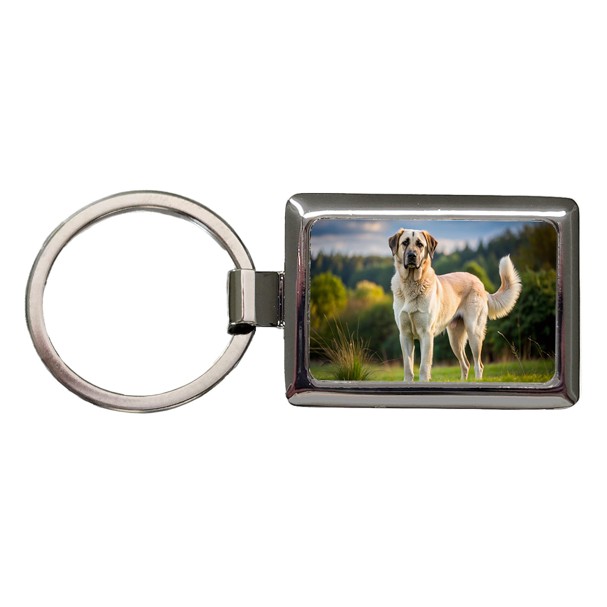 Anatolian Shepherd Dog Photo Rectangle Metal Keychain