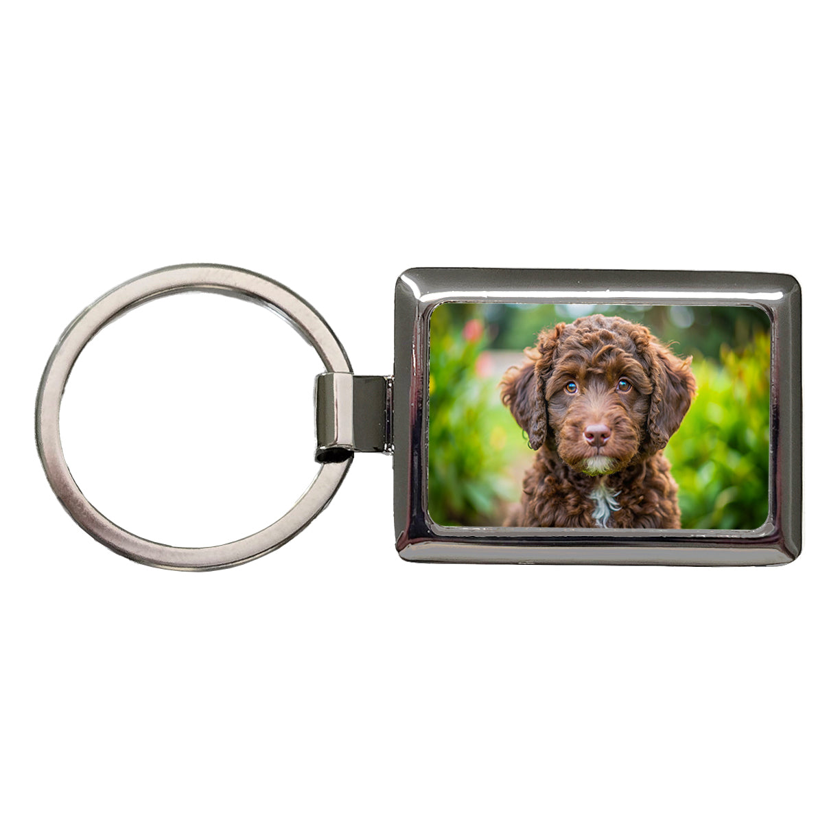 Barbet Dog Puppy Photo Rectangle Metal Keychain