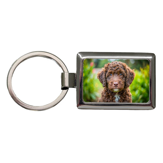Barbet Dog Puppy Photo Rectangle Metal Keychain