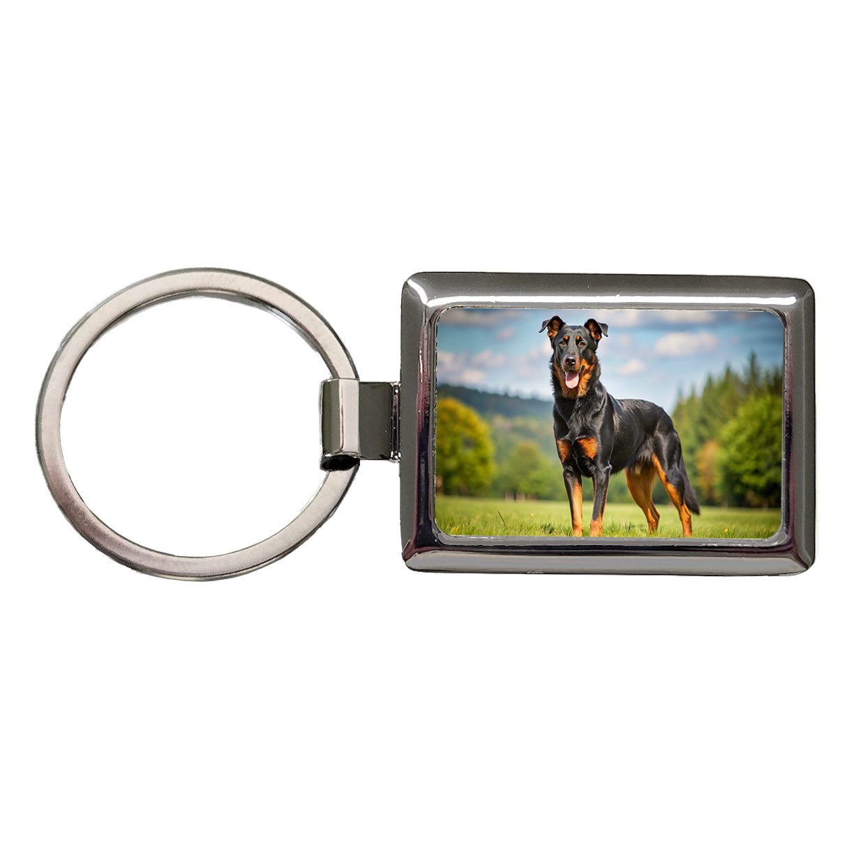 Beauceron Dog Photo Rectangle Metal Keychain