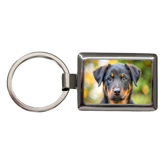 Beauceron Dog Puppy Photo Rectangle Metal Keychain
