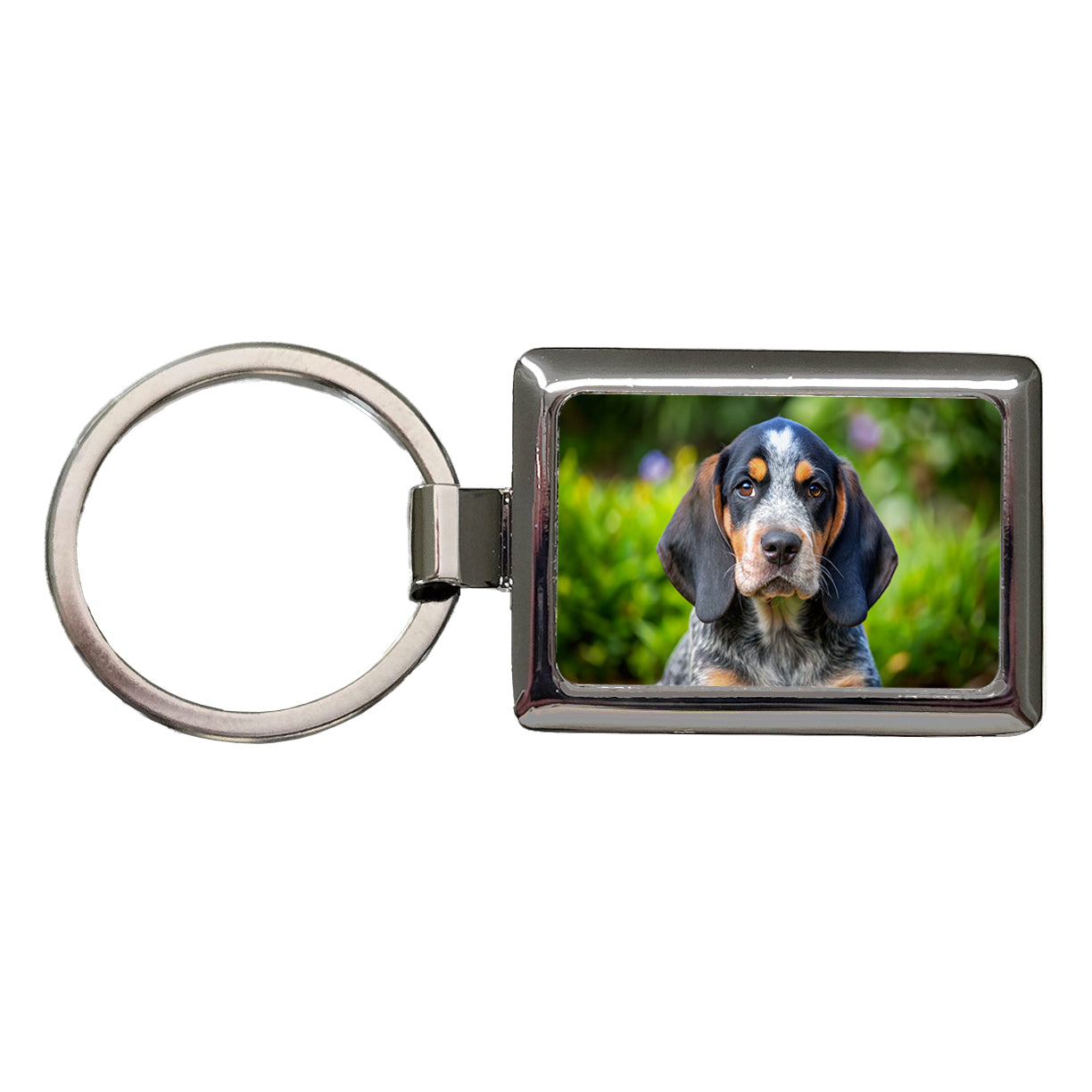 Bluetick Coonhound Dog Puppy Photo Rectangle Metal Keychain