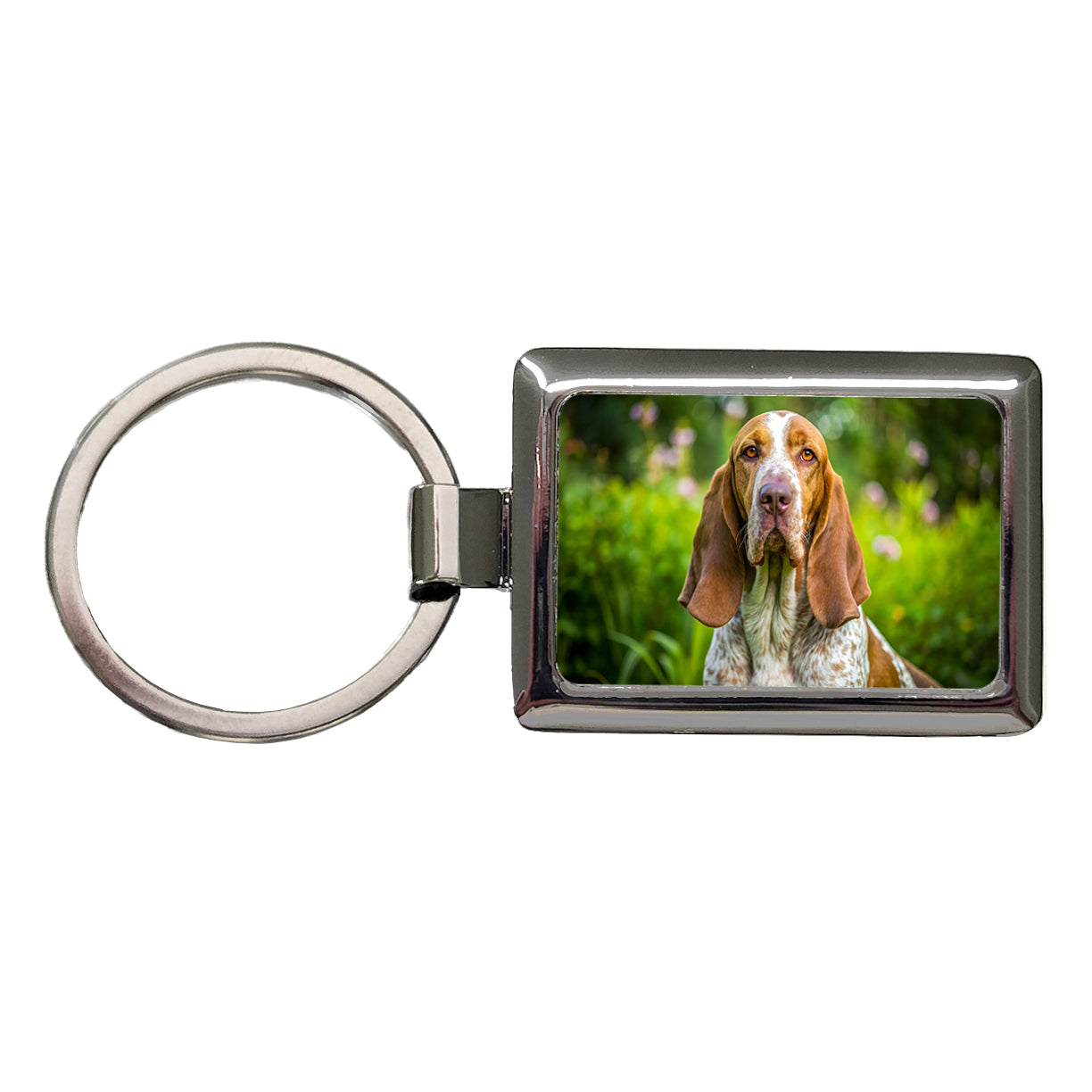 Bracco Italiano Dog Photo Rectangle Metal Keychain