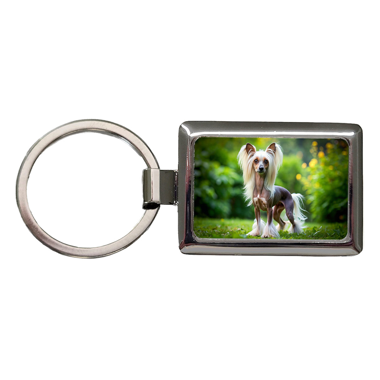 Chinese Crested Dog Photo Rectangle Metal Keychain