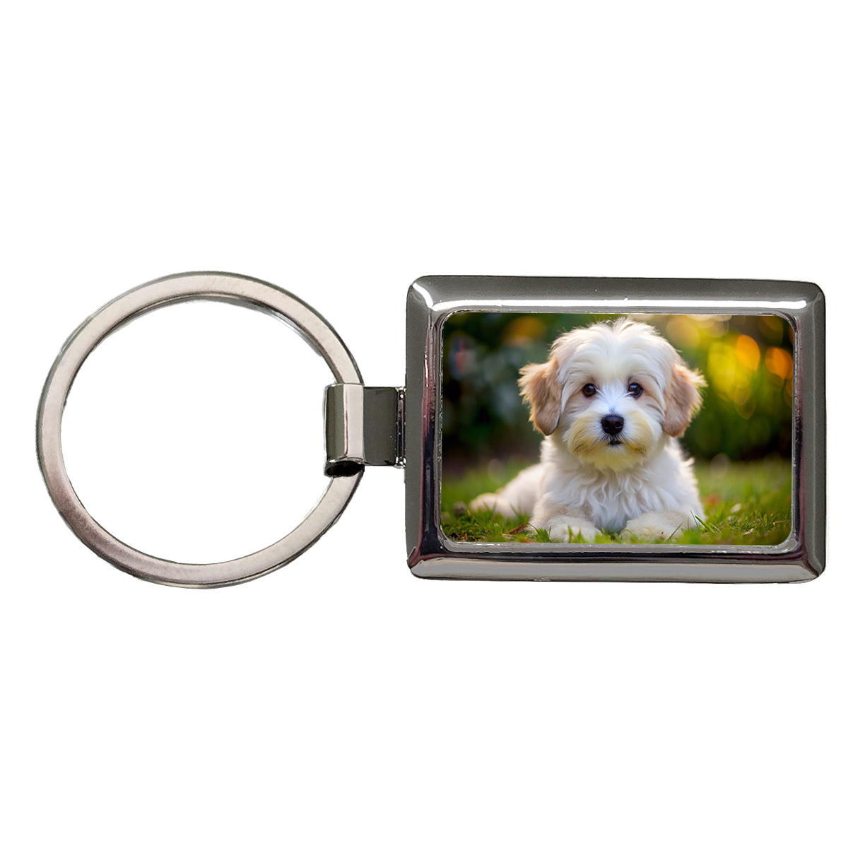Coton De Tulear Dog Puppy Photo Rectangle Metal Keychain