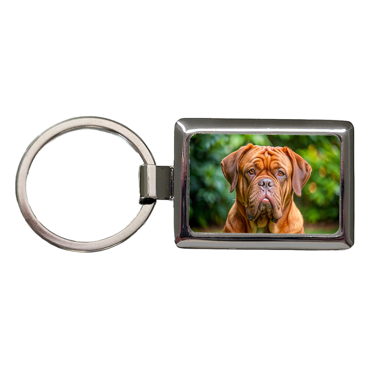 Dogues De Bordeaux Dog Photo Rectangle Metal Keychain
