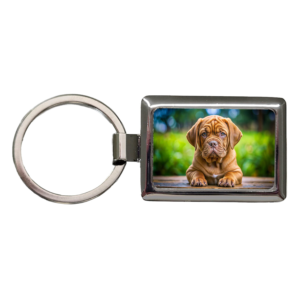 Dogues De Bordeaux Dog Puppy Photo Rectangle Metal Keychain