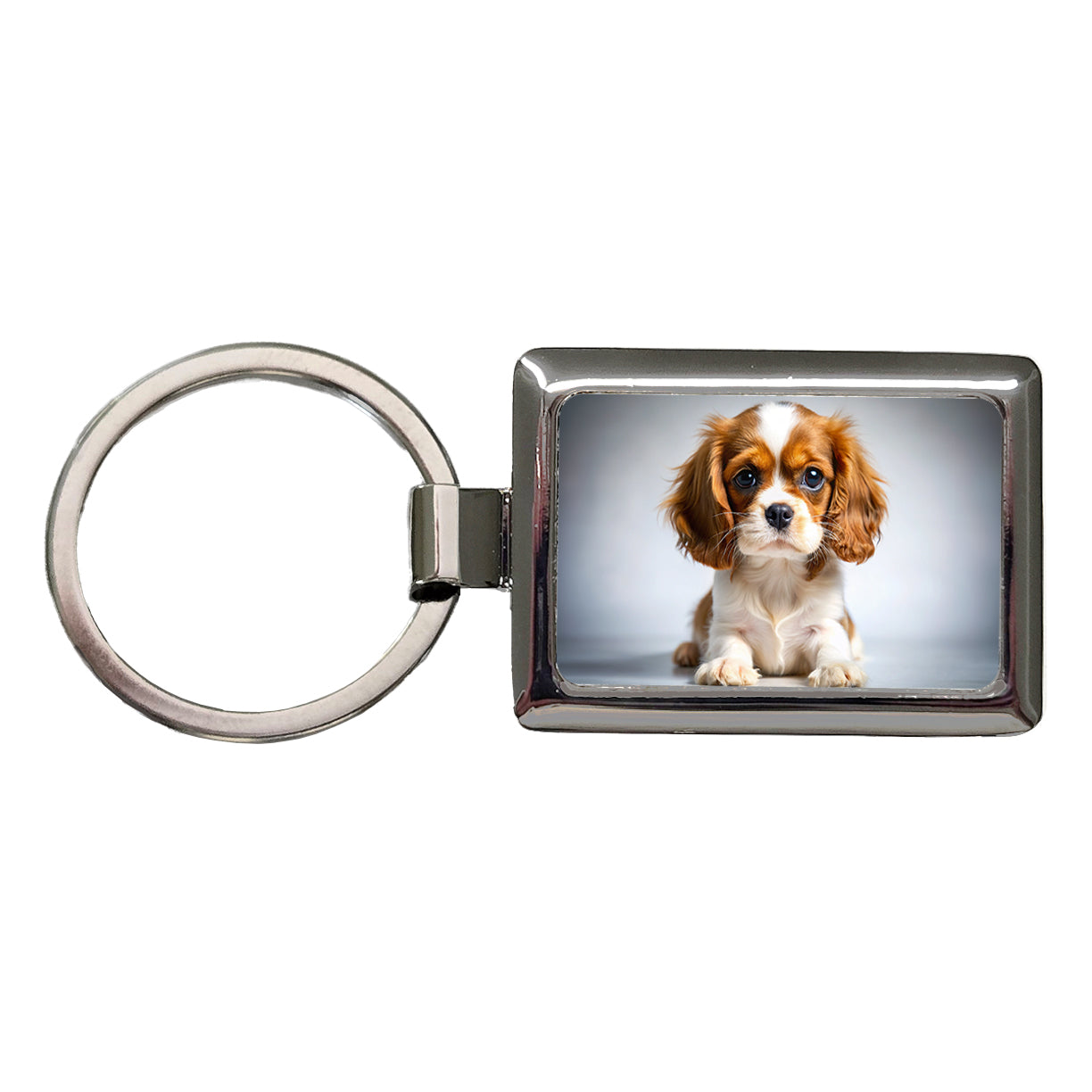 English Toy Spaniel Dog Puppy Photo Rectangle Metal Keychain