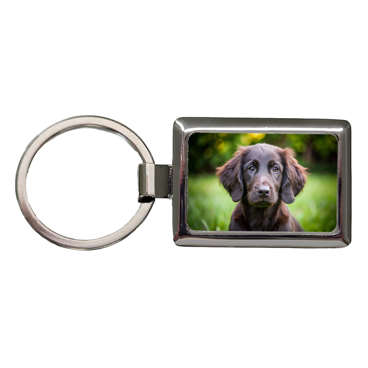 Flat Coated Retriever Dog Puppy Photo Rectangle Metal Keychain