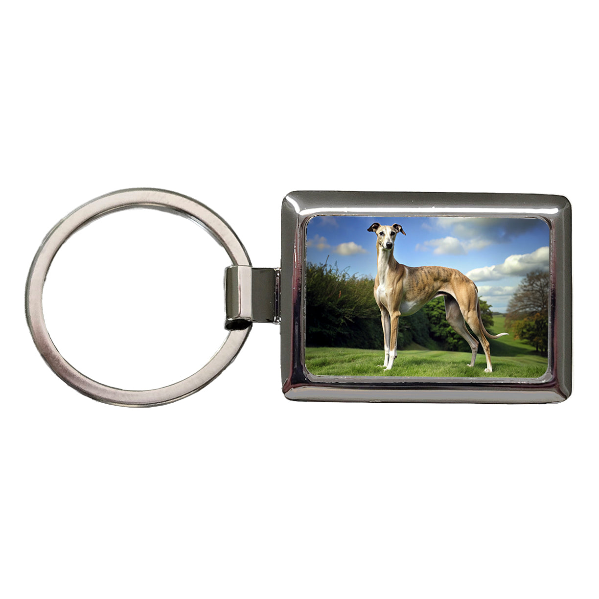 Greyhound Dog Photo Rectangle Metal Keychain