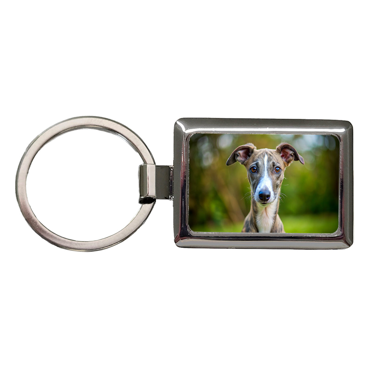 Greyhound Dog Puppy Photo Rectangle Metal Keychain