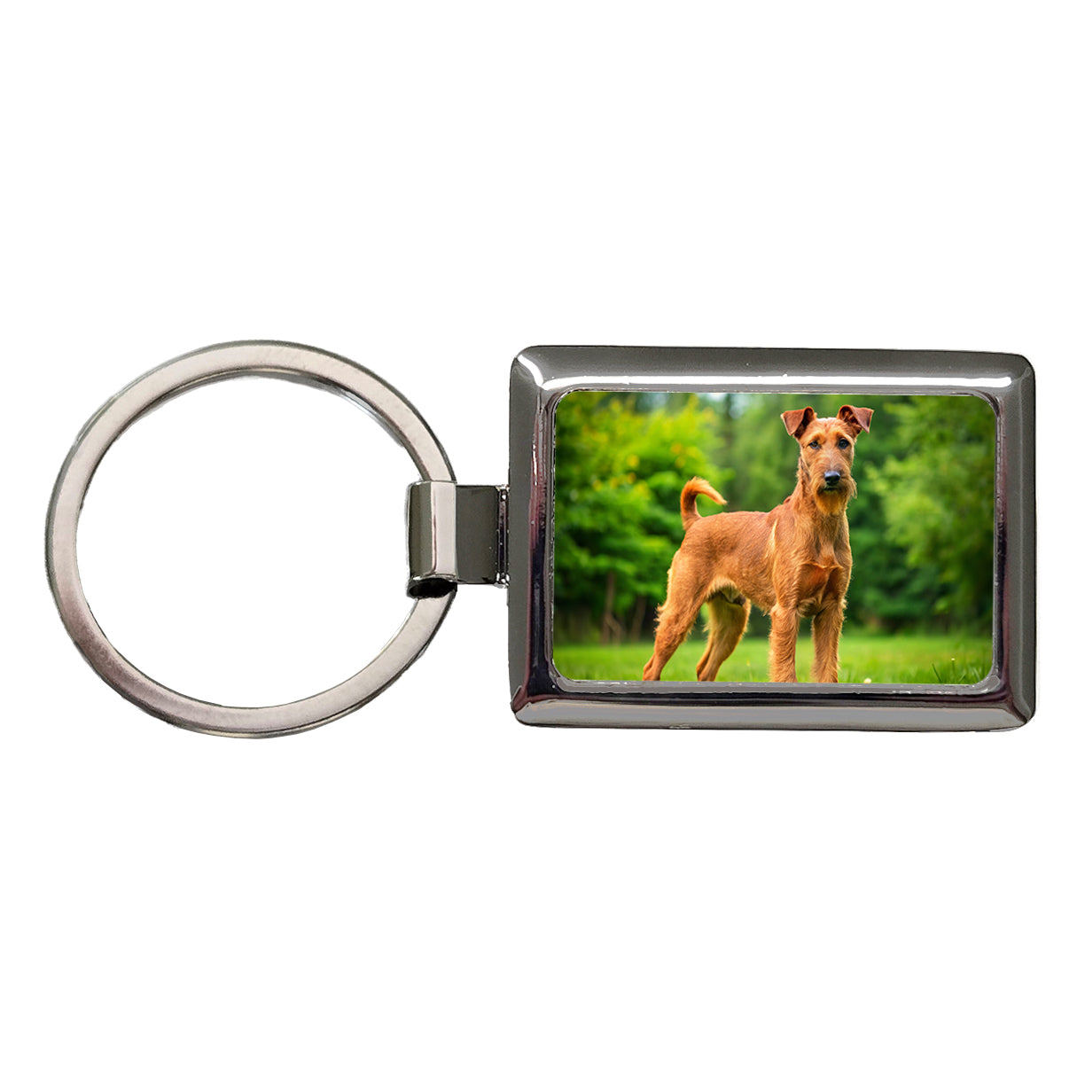 Irish Terrier Dog Photo Rectangle Metal Keychain