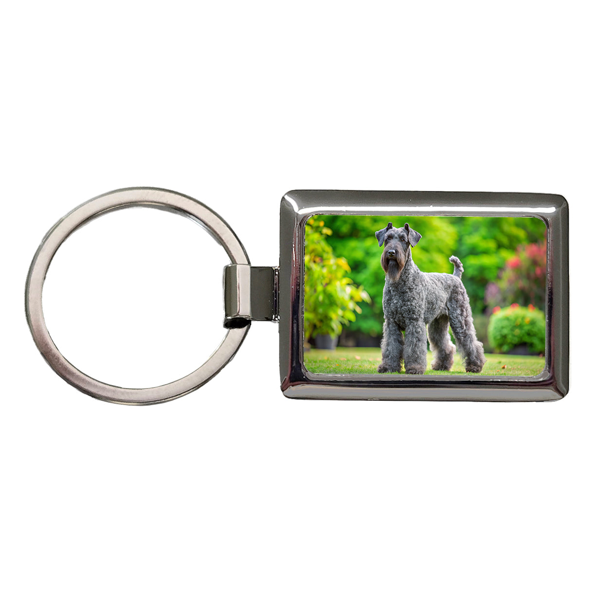 Kerry Blue Terrier Dog Photo Rectangle Metal Keychain