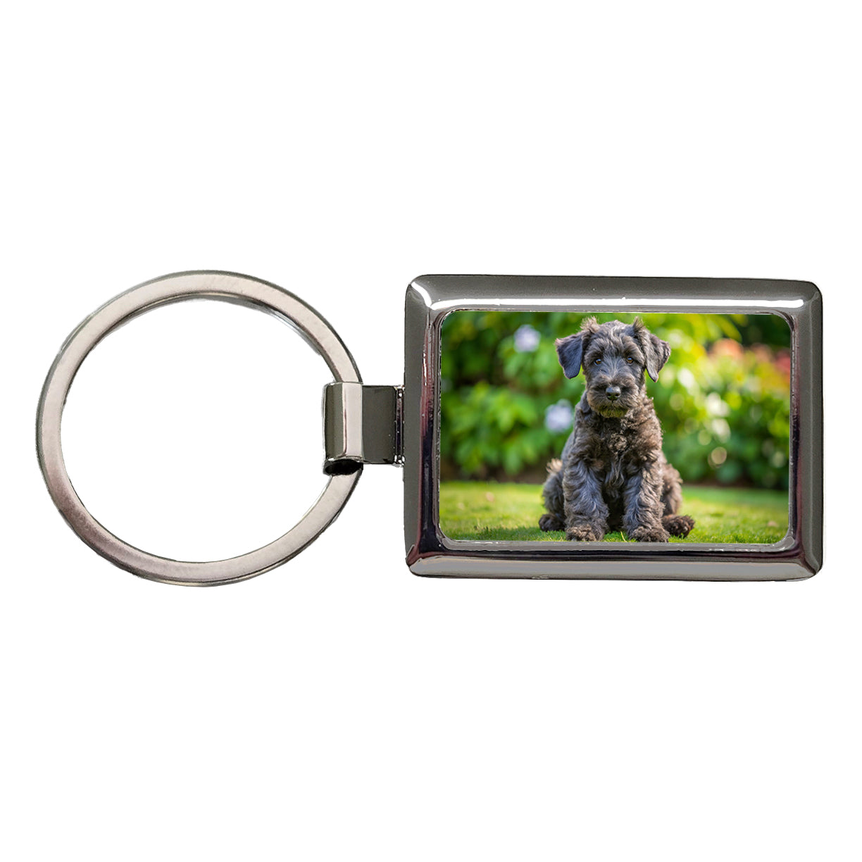 Kerry Blue Terrier Dog Puppy Photo Rectangle Metal Keychain