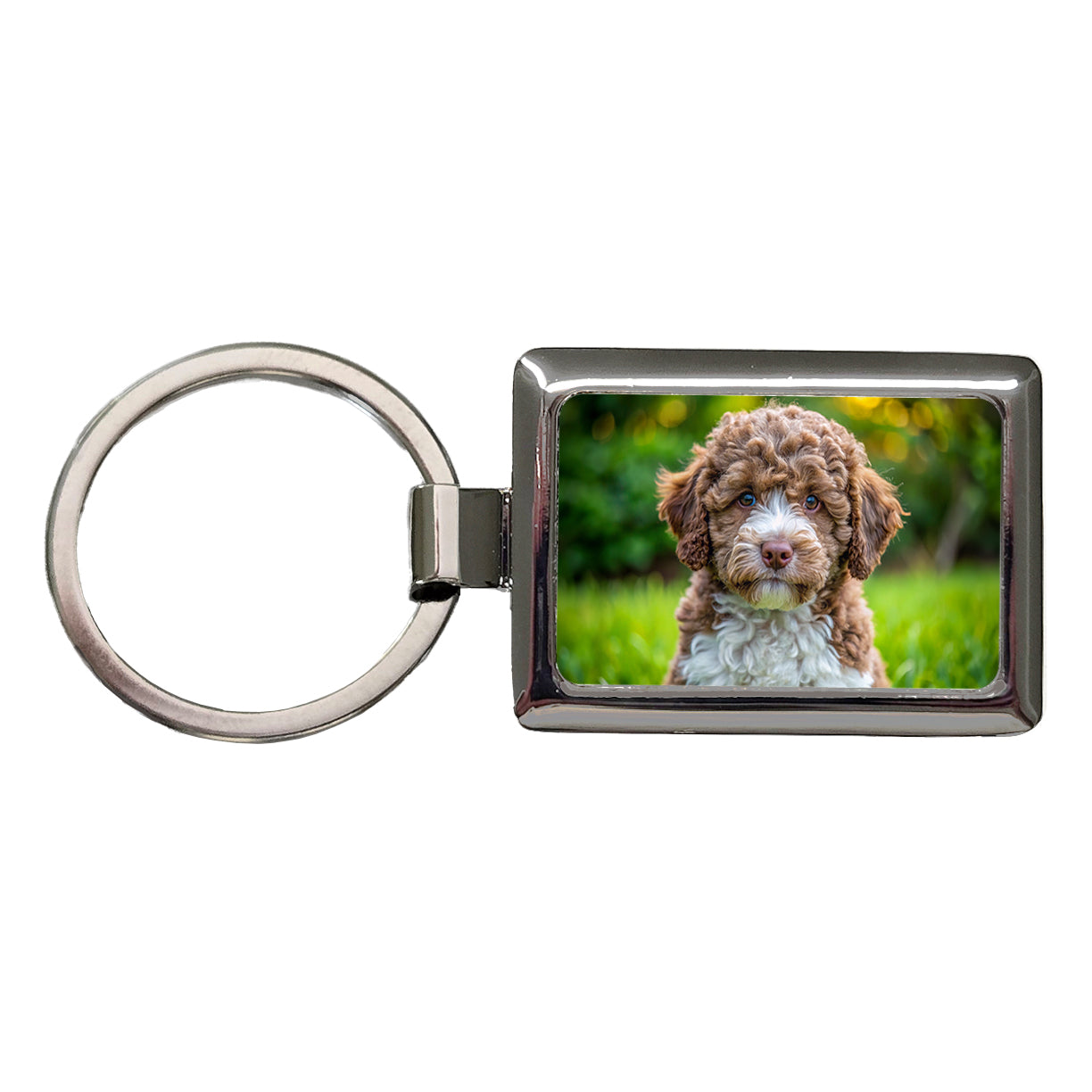 Lagotto Romagnolo Dog Puppy Photo Rectangle Metal Keychain