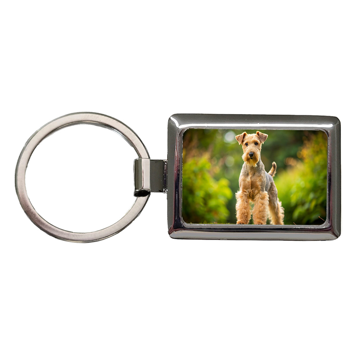 Lakeland Terrier Dog Photo Rectangle Metal Keychain