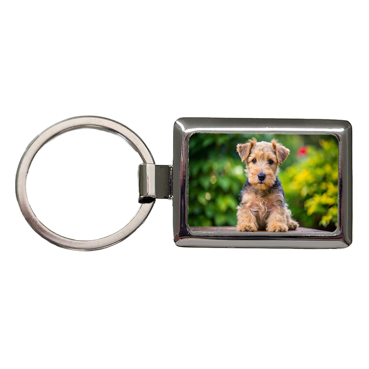 Lakeland Terrier Dog Puppy Photo Rectangle Metal Keychain