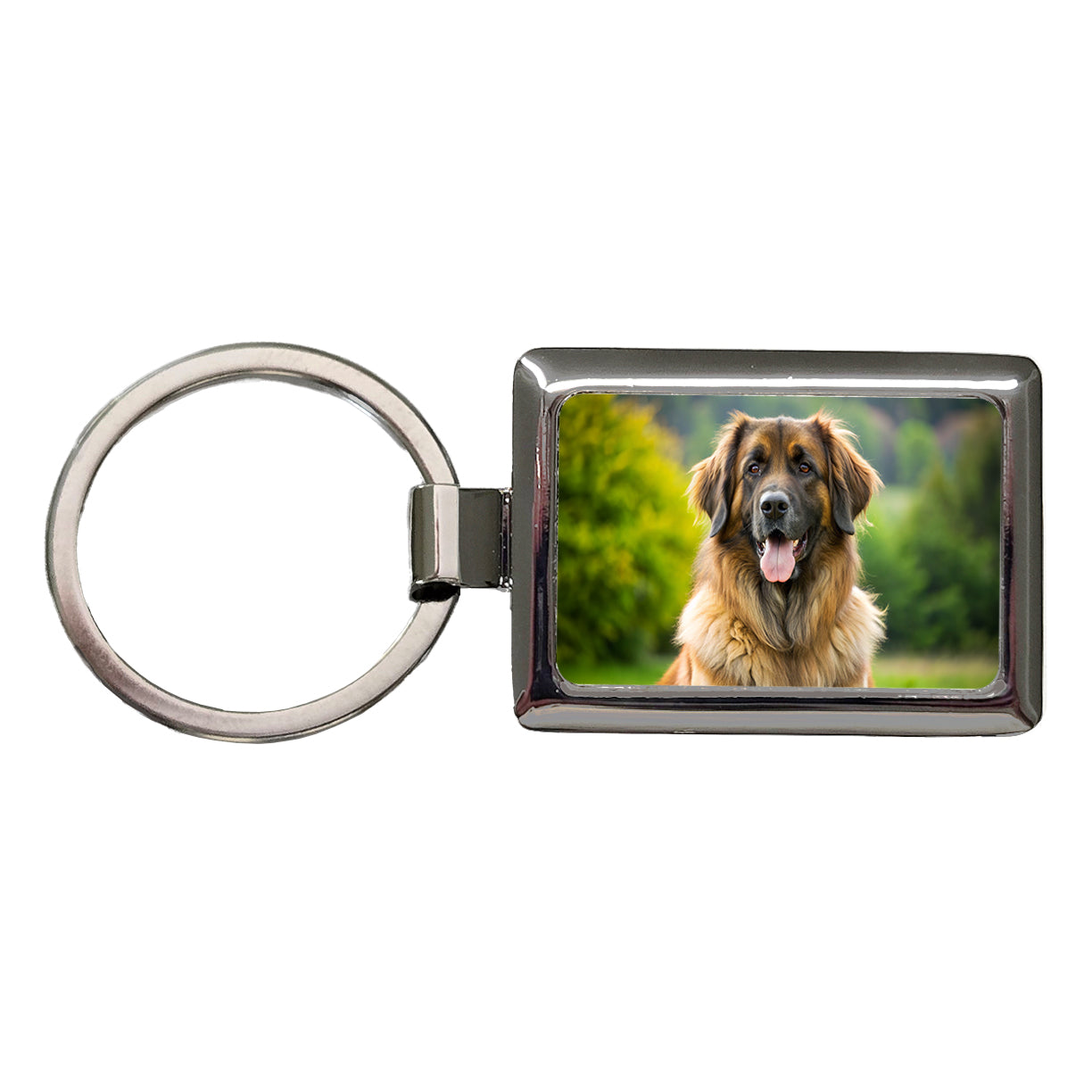 Leonberger Dog Photo Rectangle Metal Keychain