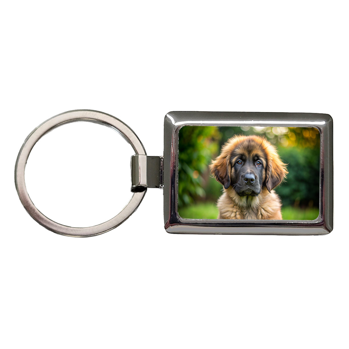 Leonberger Dog Puppy Photo Rectangle Metal Keychain