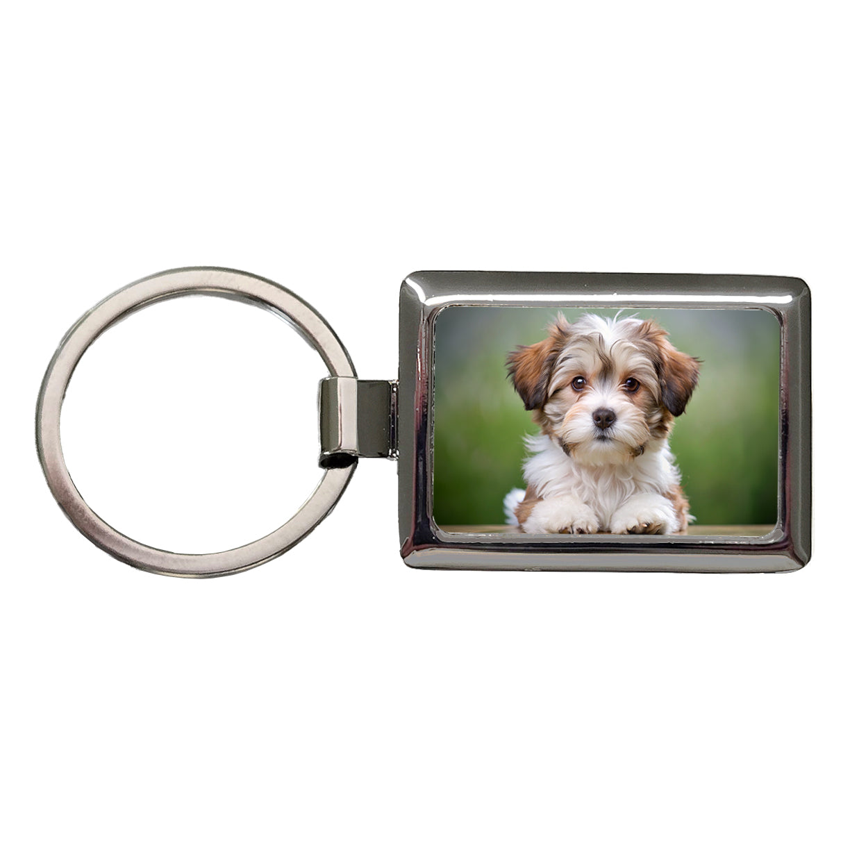 Lowchen Little Lion Dog Puppy Photo Rectangle Metal Keychain