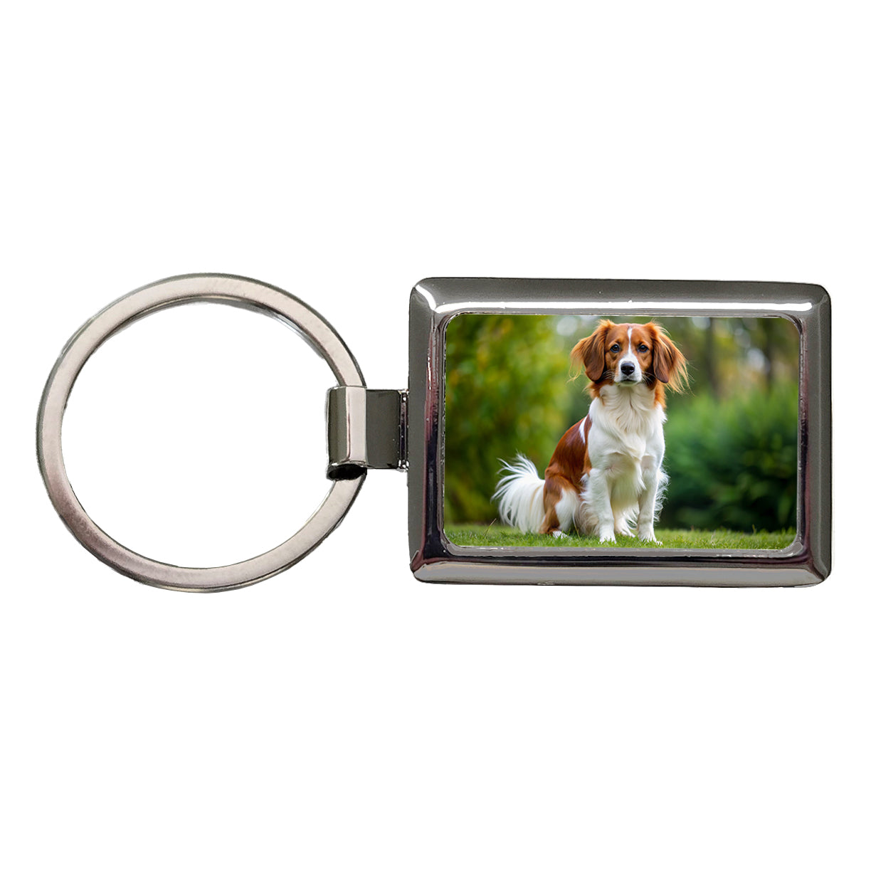 Nederlandse Kooikerhondje Dog Photo Rectangle Metal Keychain