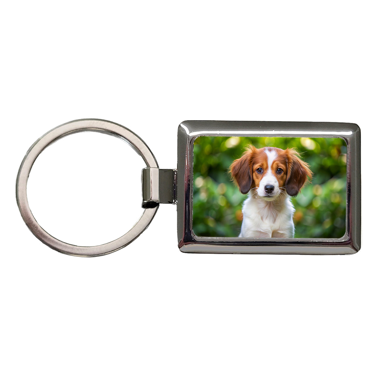 Nederlandse Kooikerhondje Dog Puppy Photo Rectangle Metal Keychain