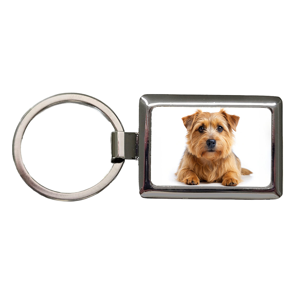 Norfolk Terrier Dog Photo Rectangle Metal Keychain