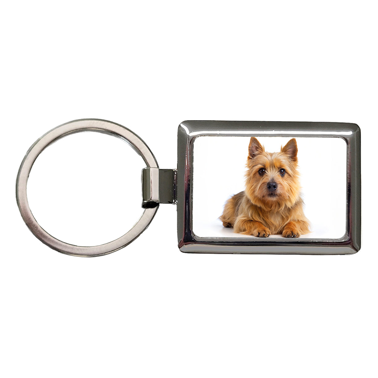 Norwich Terrier Dog Photo Rectangle Metal Keychain