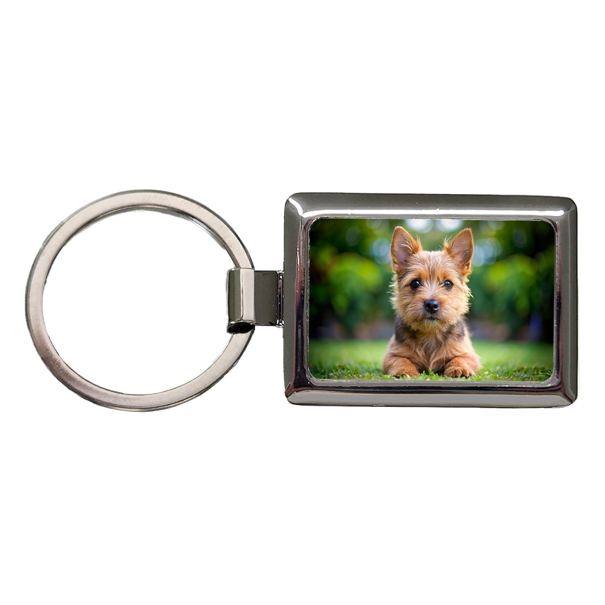 Norwich Terrier Dog Puppy Photo Rectangle Metal Keychain