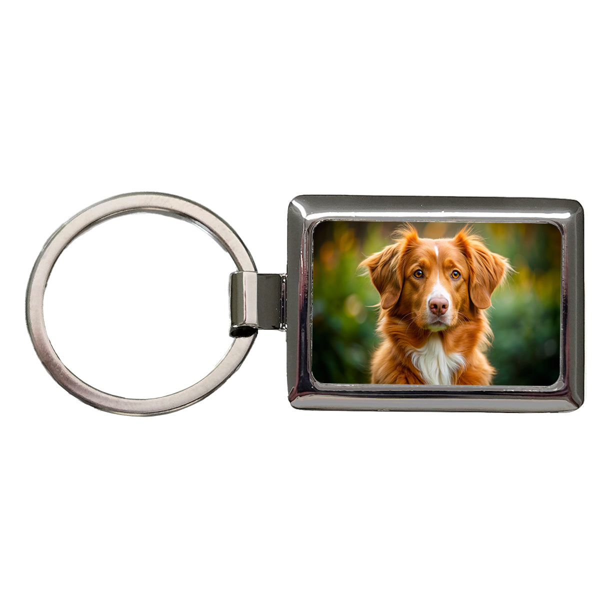 Nova Scotia Duck Tolling Retriever Dog Photo Rectangle Metal Keychain