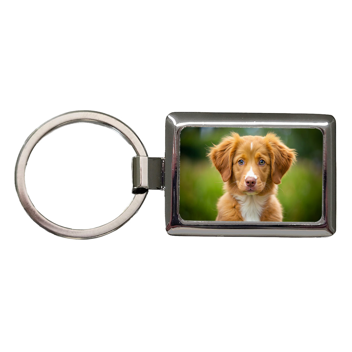 Nova Scotia Duck Tolling Retriever Dog Puppy Photo Rectangle Metal Keychain
