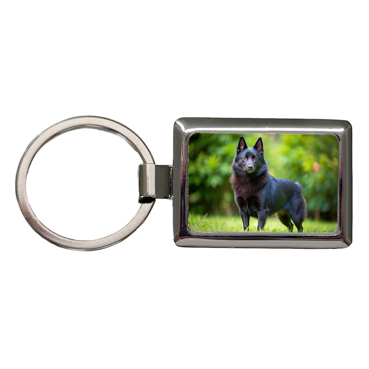 Schipperke Dog Photo Rectangle Metal Keychain