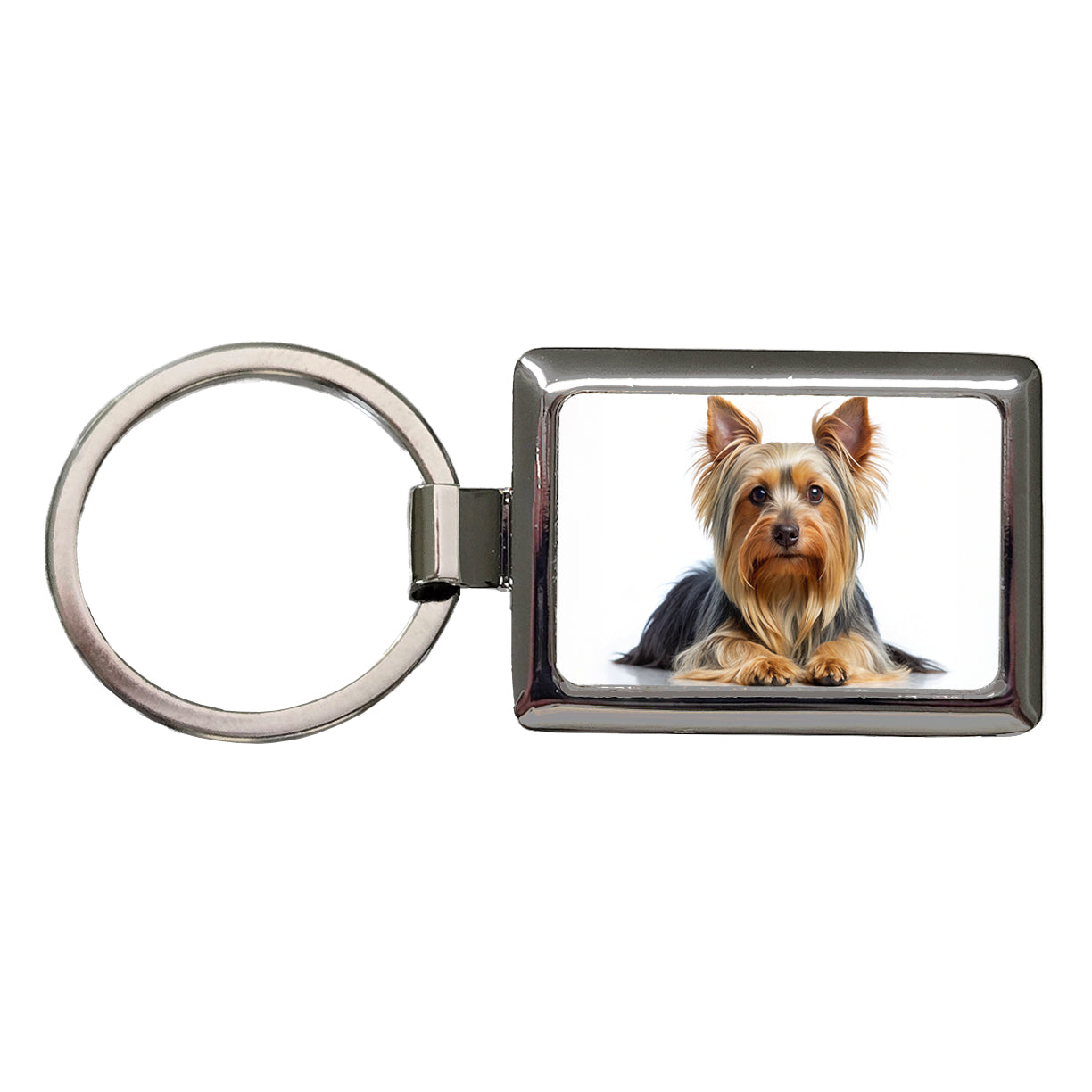 Silky Terrier Dog Photo Rectangle Metal Keychain