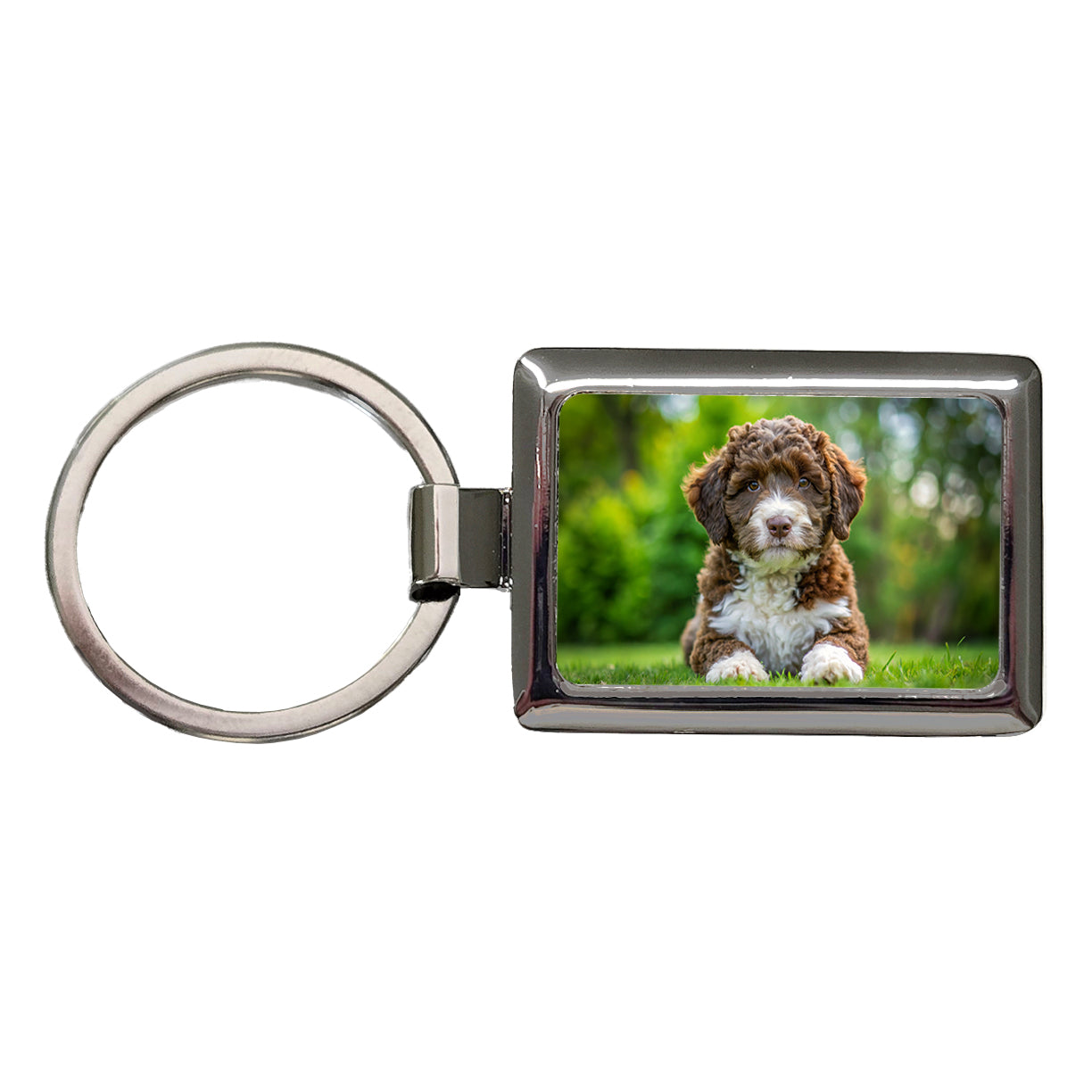 Spanish Water Dog Puppy Photo Rectangle Metal Keychain