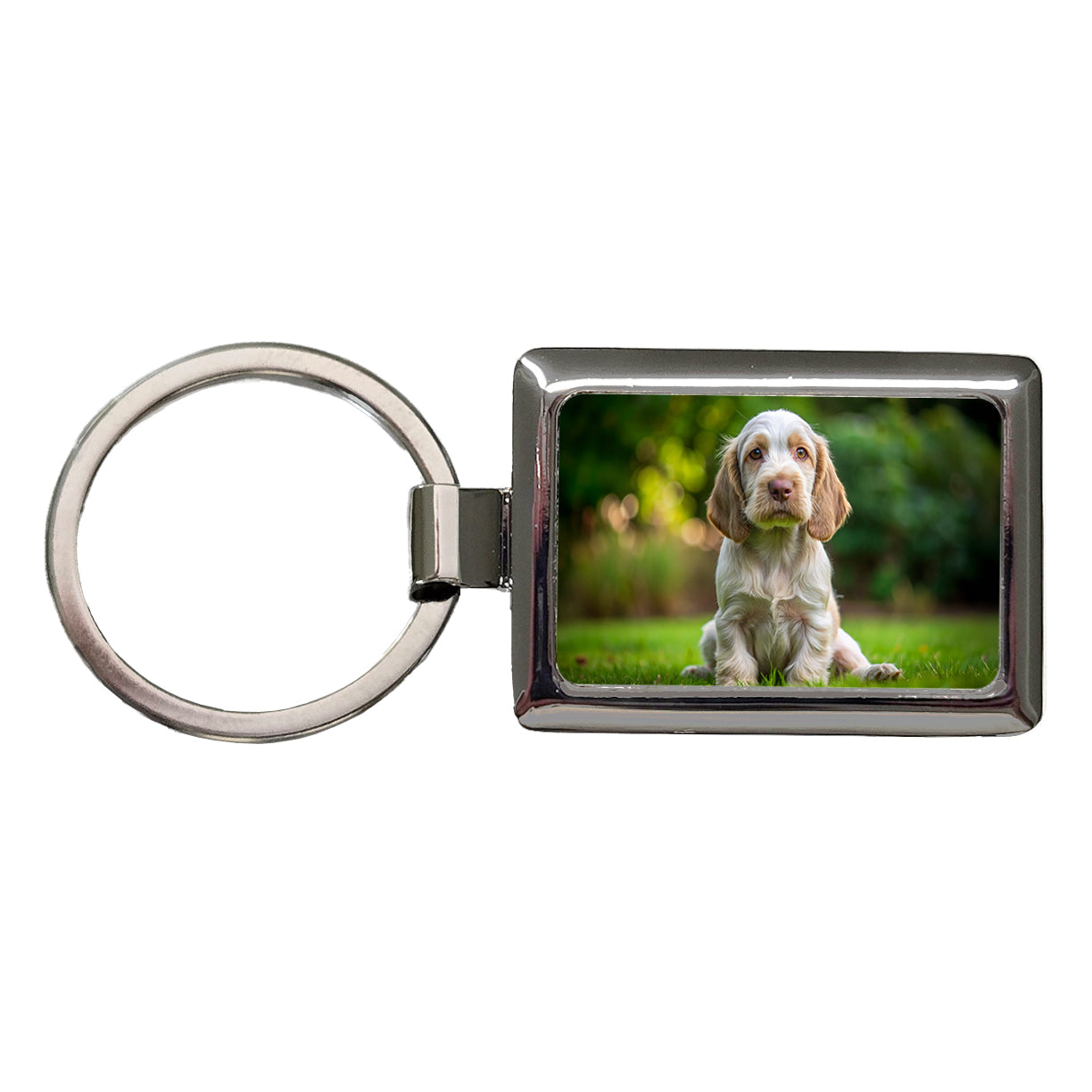 Spinone Italiano Dog Puppy Photo Rectangle Metal Keychain