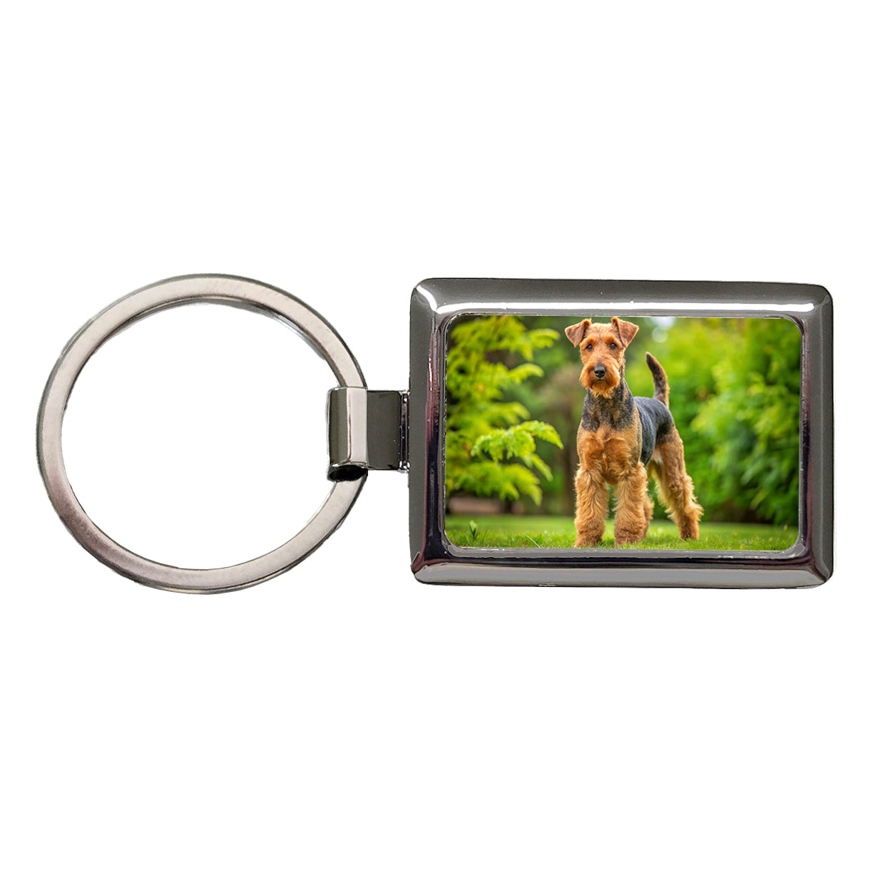 Welsh Terrier Dog Photo Rectangle Metal Keychain
