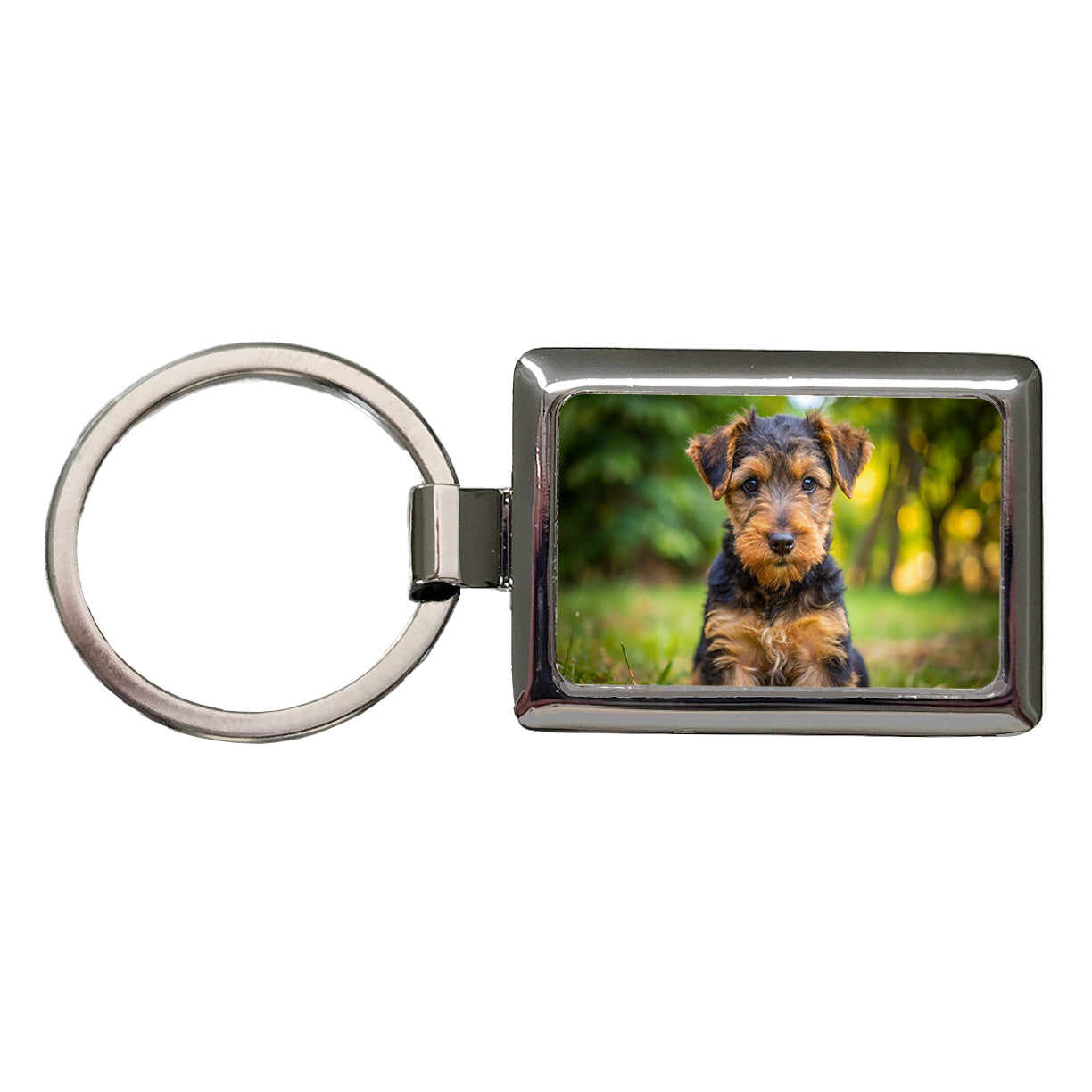 Welsh Terrier Dog Puppy Photo Rectangle Metal Keychain