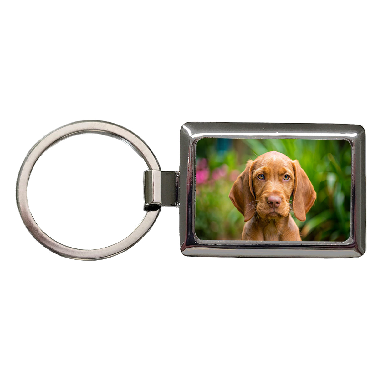 Wirehaired Vizsla Dog Puppy Photo Rectangle Metal Keychain