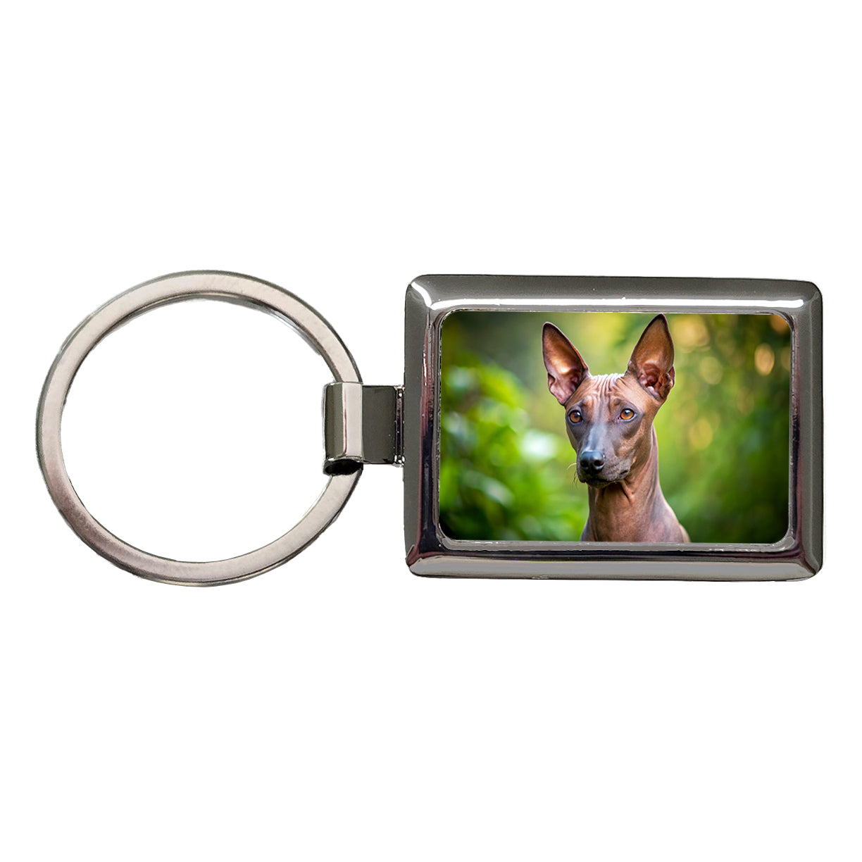 Xoloitzcuintli Xolo Mexican Hairless Dog Photo Rectangle Metal Keychain
