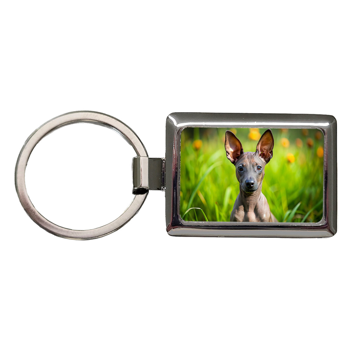 Xoloitzcuintli Xolo Mexican Hairless Dog Puppy Photo Rectangle Metal Keychain
