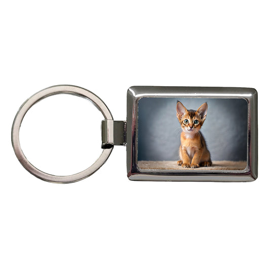 Abyssinian Cat Kitten Photo Rectangle Metal Keychain